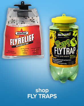 Shop Fly Traps